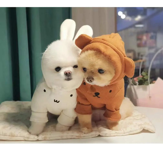 Cute Rabbit Bear Ears Hoodie Warm Cotton Sweater Pet Cloth