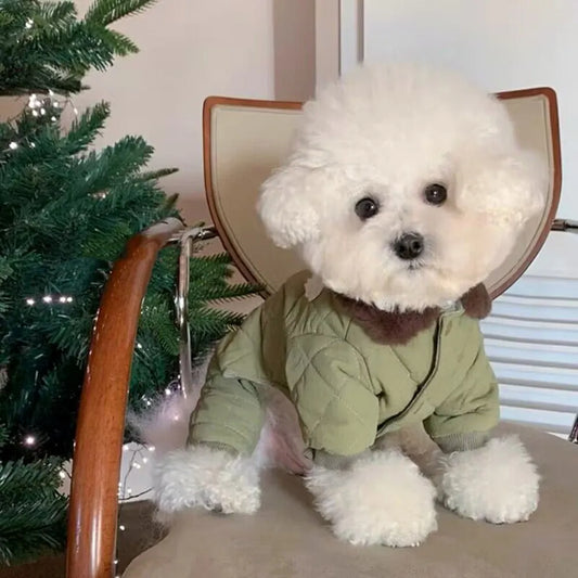 Small Dog Jumpsuit Autumn Winter Fashion Cartoon Sweater Pet Cute Designer Pajamas Puppy Clothes