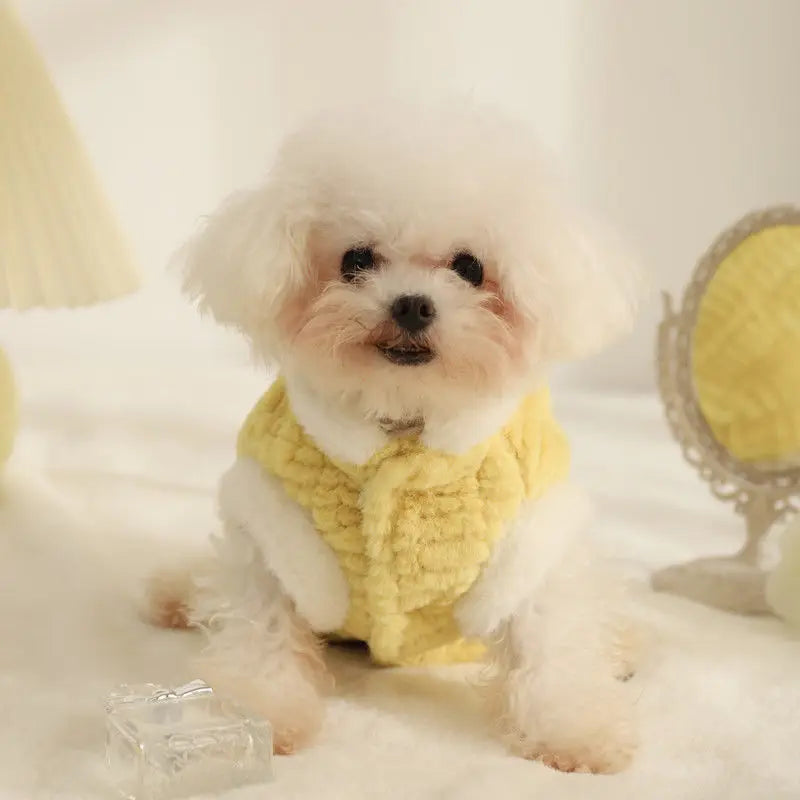 Pet Coat Dog Pet Clothes Vest Small Dog Cute Vest Puppy Dog Clothes