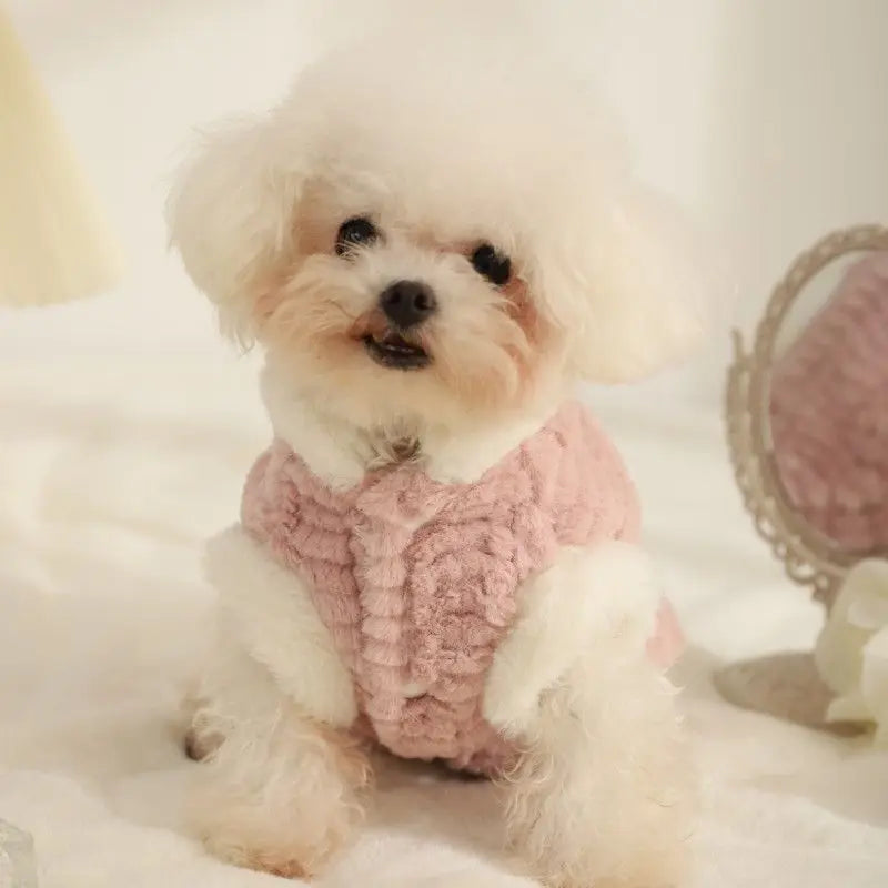 Pet Coat Dog Pet Clothes Vest Small Dog Cute Vest Puppy Dog Clothes