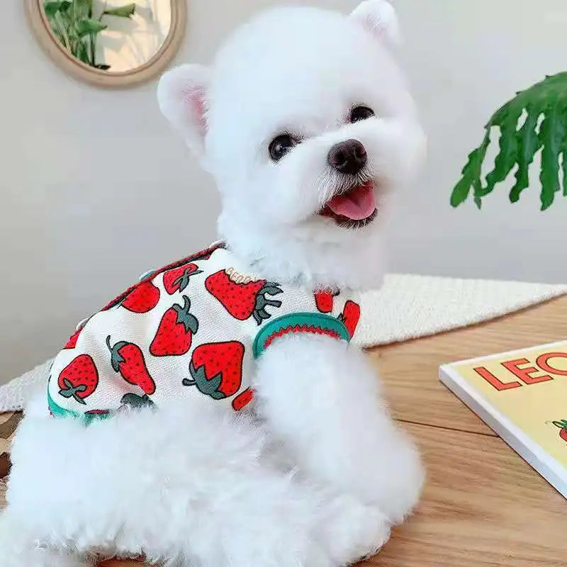 Cute Dog Cat Flower Clothes  Jacket