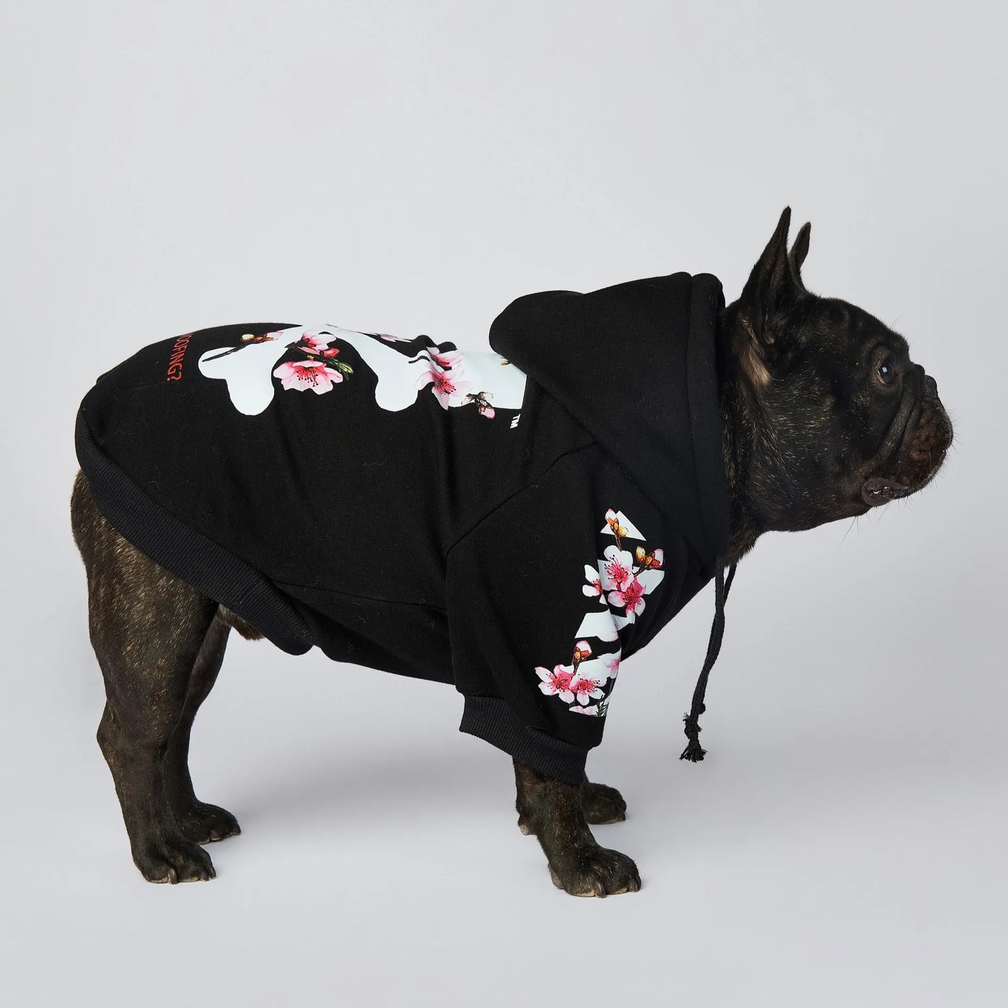 Dog Clothes WOOF Fashion Dog Jacket Pet Dog Hoodies Winter French Bulldog Pugs